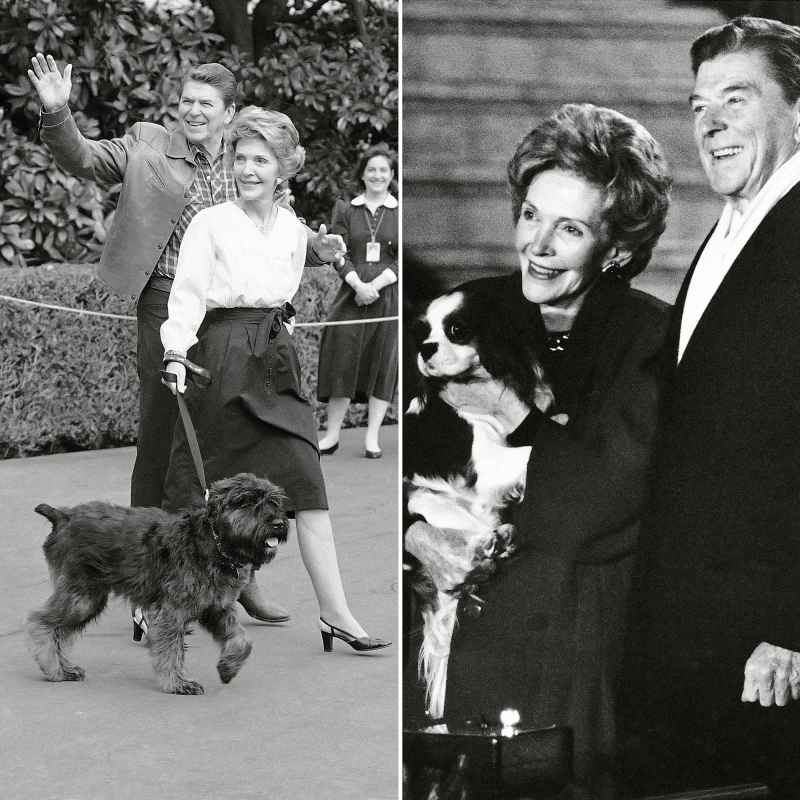 Lucky and Rex (Reagan) Pets White House Through Years