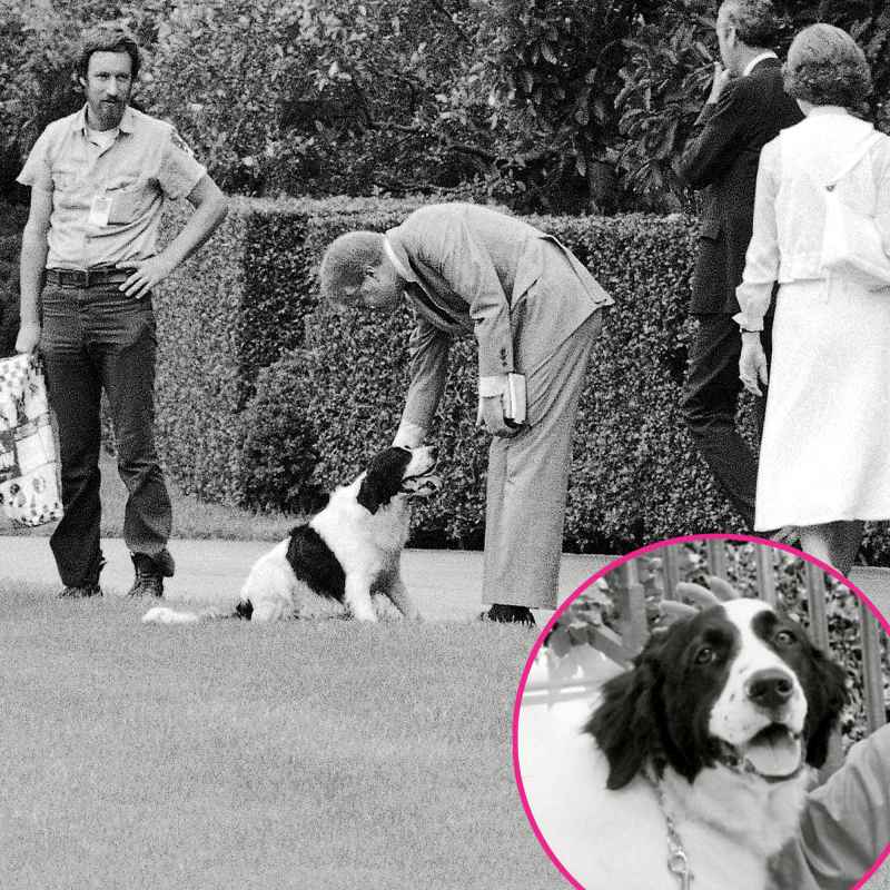 Grits (Jimmy Carter) Pets White House Through Years