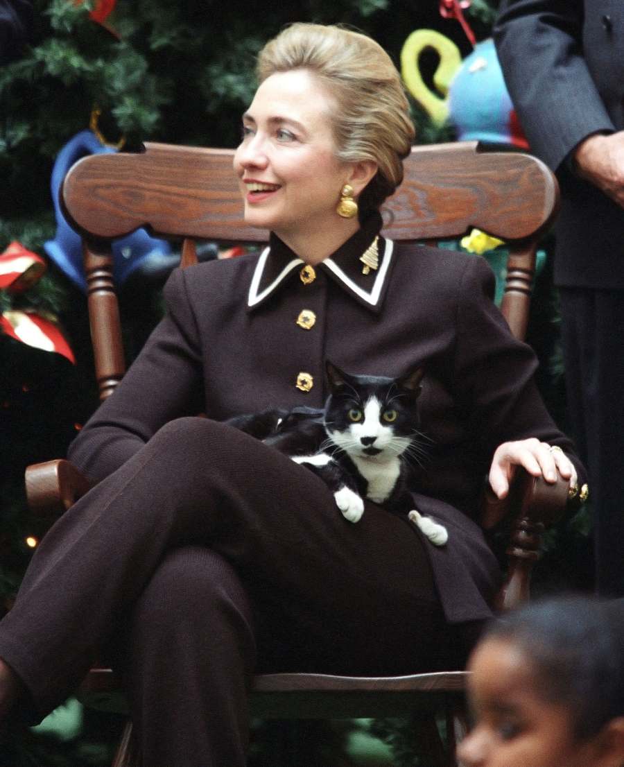 Buddy and Socks (Clinton) Pets White House Through Years Hilary Clinton Socks