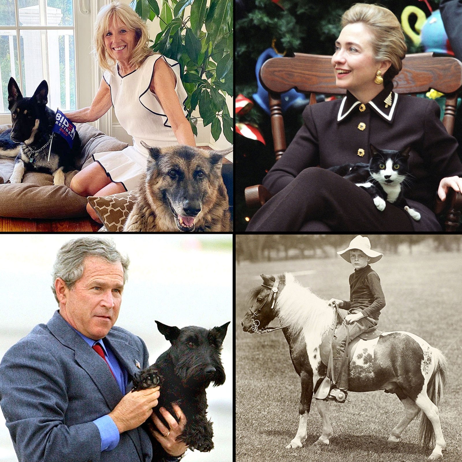 Pets White House Through Years Biden Clinton Roosevelt Bush