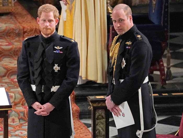 Prince Harry Feels People Are Trying to Drive a Wedge Between Him and Prince William Amid Princess Diana BBC Investigation