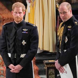 Prince Harry Feels People Are Trying to Drive a Wedge Between Him and Prince William Amid Princess Diana BBC Investigation