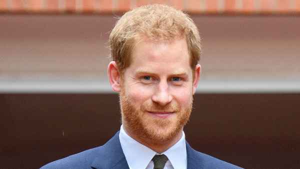 Prince Harry Volunteers for Remembrance Week in LA After Palace Snub