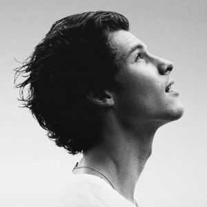 Shawn Mendes In Wonder