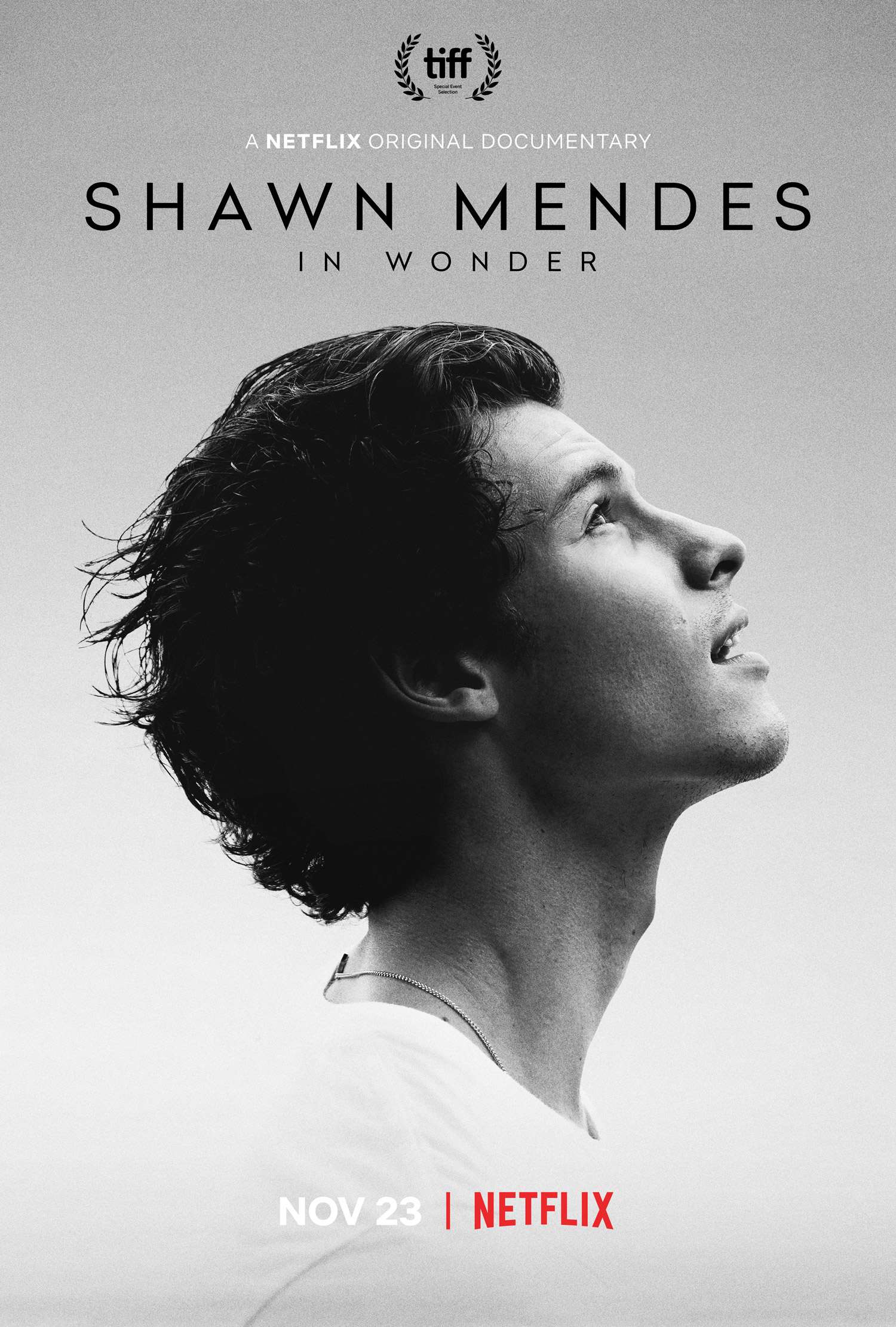 Shawn Mendes Netflix Documentary In Wonder 5 Things We Learned