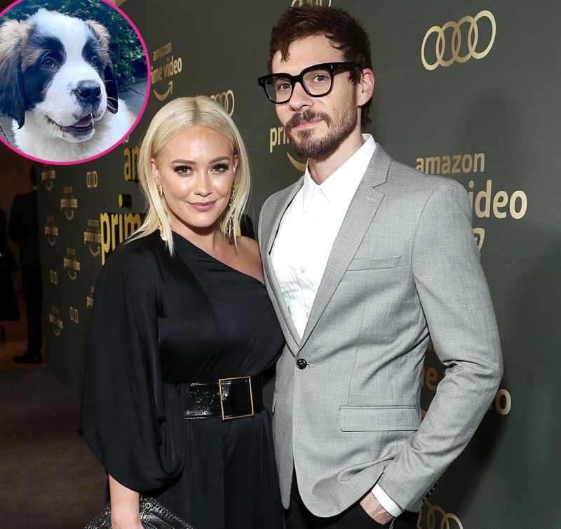 Stars Whove Adopted Added New Dogs Their Family Amid Pandemic Hilary Duff Matthew Koma