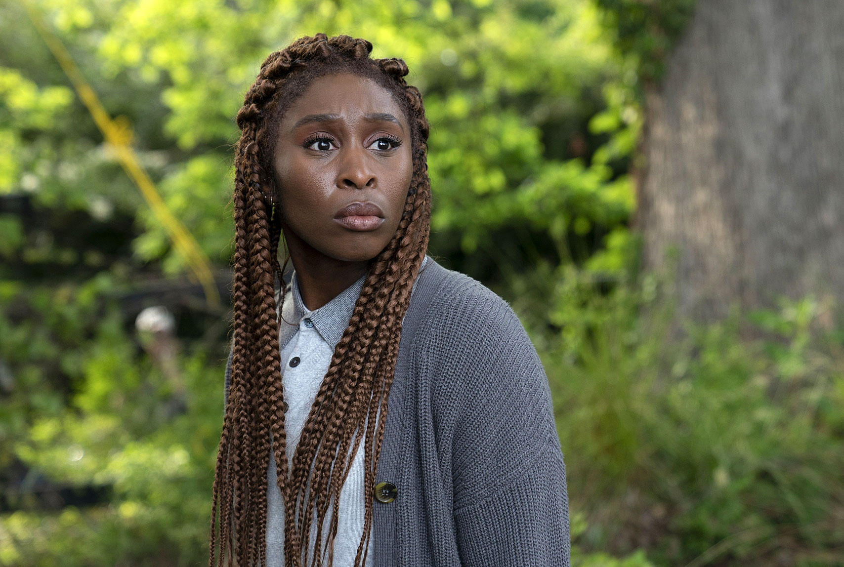 Untimely Demise: TV Shows Cut Short - What Went Wrong with ‘Pitch,’ ‘The Newsroom’ and More