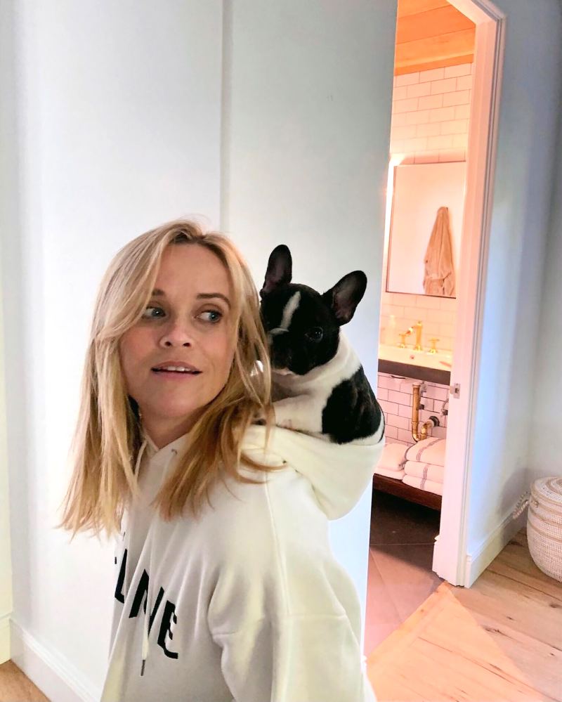 Reese Witherspoon’s ‘Pupdates’ Are What Every Dog Lover Needs to See: Photos