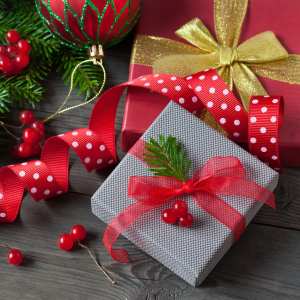 Holiday Gift Guide 2020