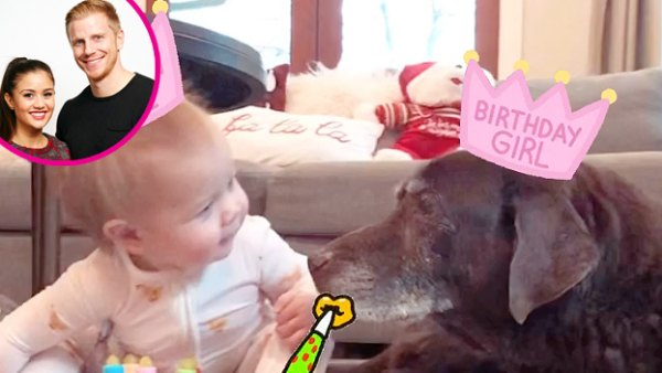 Catherine Giudici and Sean Lowe birthday quarantine p