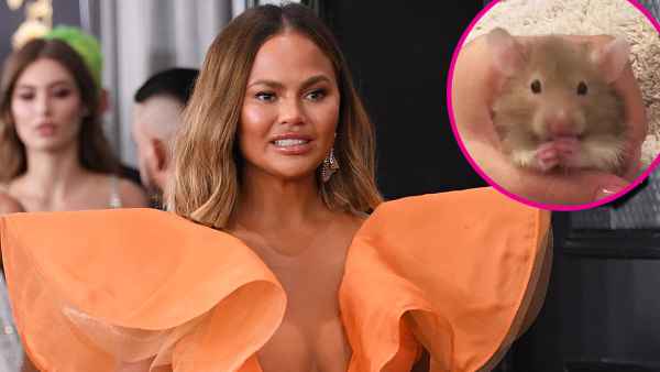 Chrissy Teigen Says Family Hamster Peanut Butter Has Died