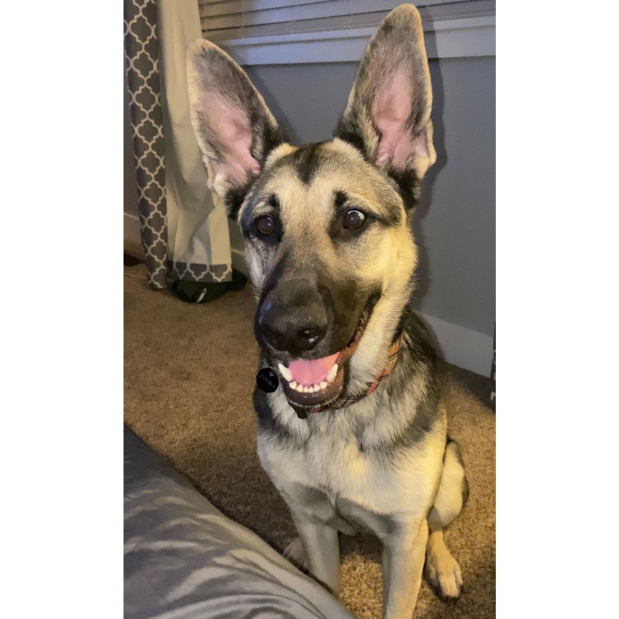 Colton Underwood Returns Instagram Nearly 2 Months After Cassie Randolph Drama