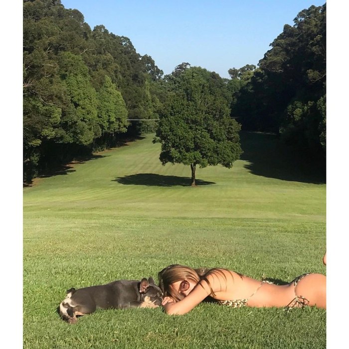 Did Liam Hemsworth and Girlfriend Gabriella Brooks Move in Together in Australia Laying Down Grass Yard Dog Print Bikini