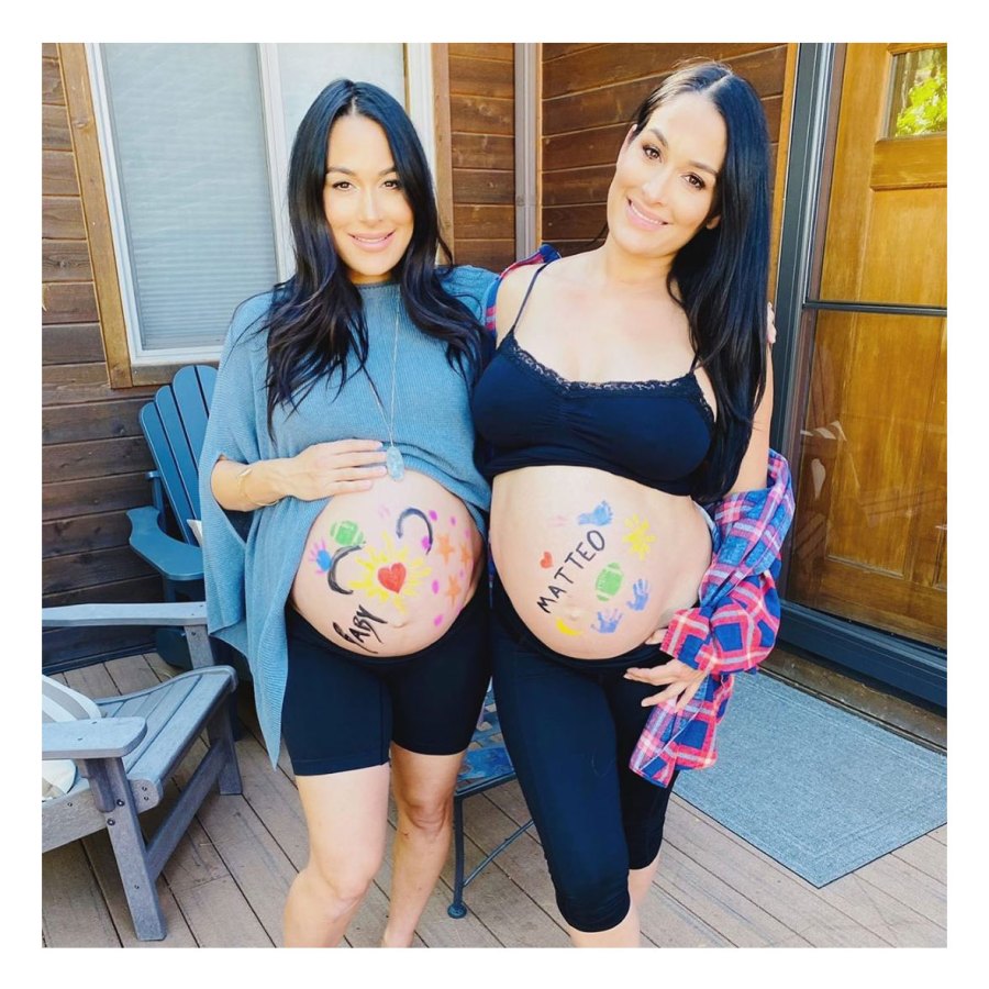 Nikki Bella and Brie Bella Double Baby Bumps Brie Bella Instagram Best Photos of 2020