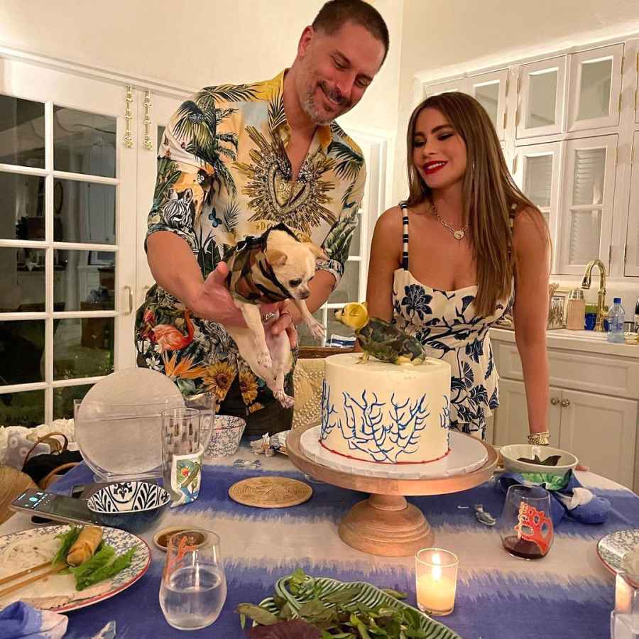 Sofia Vergara and Joe Manganiello Birthday Dogs Cake