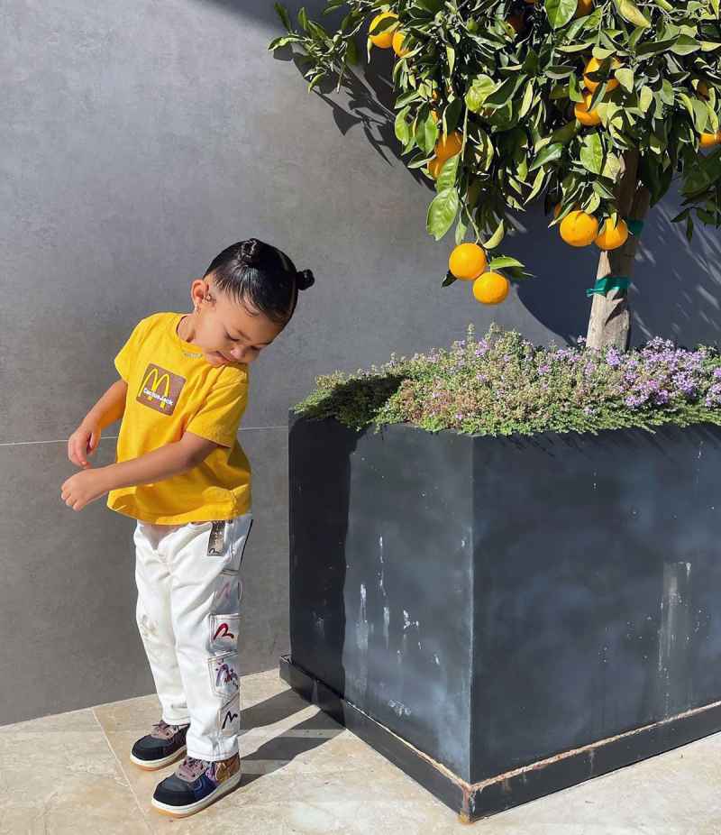 Stormi Takes After Her Mom Kylie, Matches Her Outfit to a Lemon Tree
