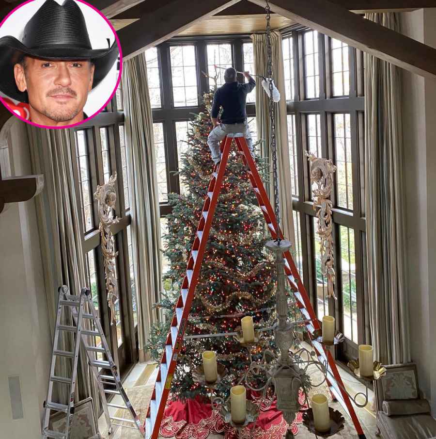 Tim McGraw Holiday decorations