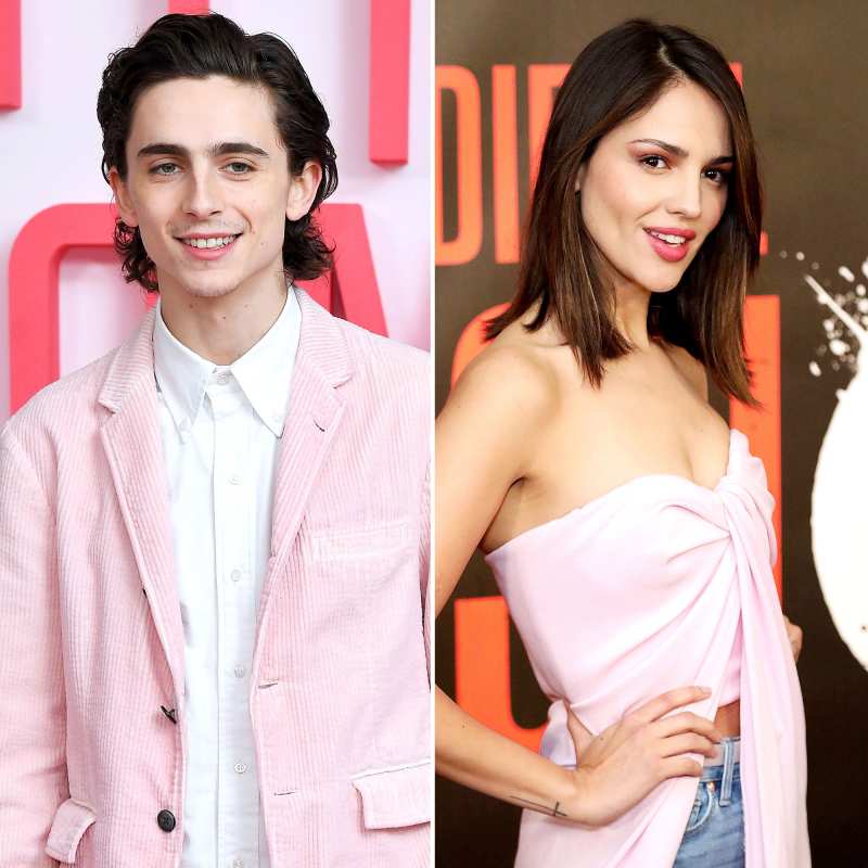 Timothee Chalamet and Eiza Gonzalez Celebrity Relationships Hookups We Didnt See Coming in 2020