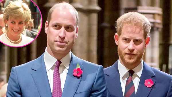 Princes William Harry Are Demanding Answers About Diana 1995 Panorama Interview