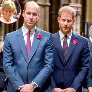 Princes William Harry Are Demanding Answers About Diana 1995 Panorama Interview