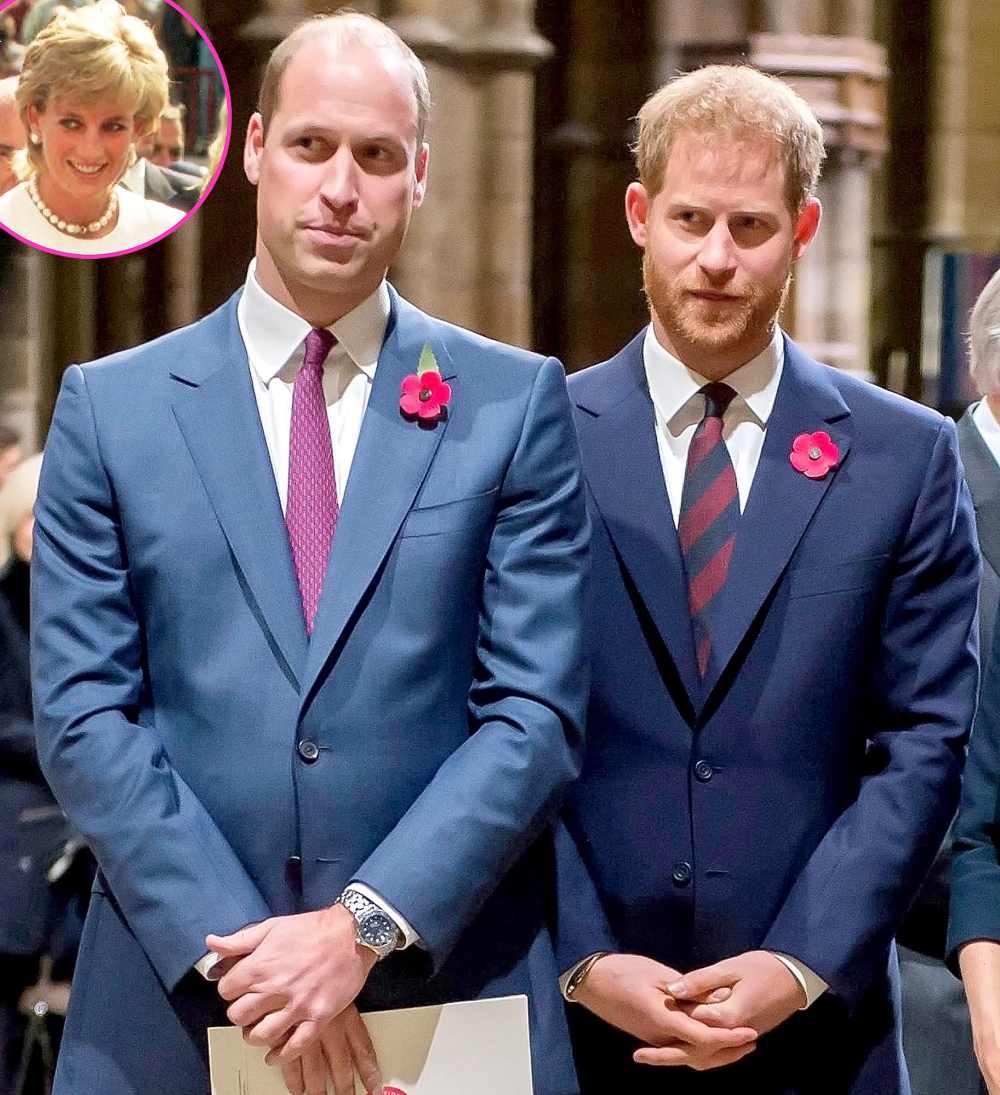 Princes William Harry Are Demanding Answers About Diana 1995 Panorama Interview