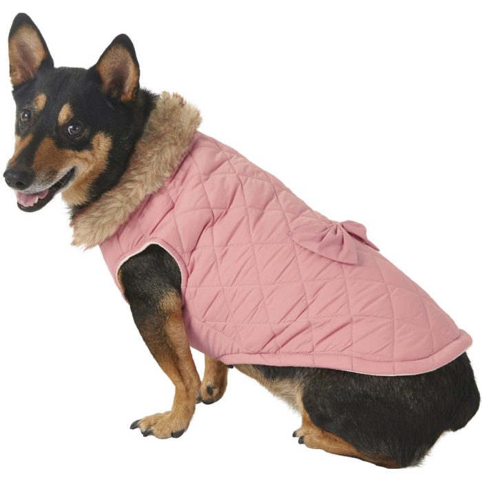 dog-quilted-coat-winter-clothing