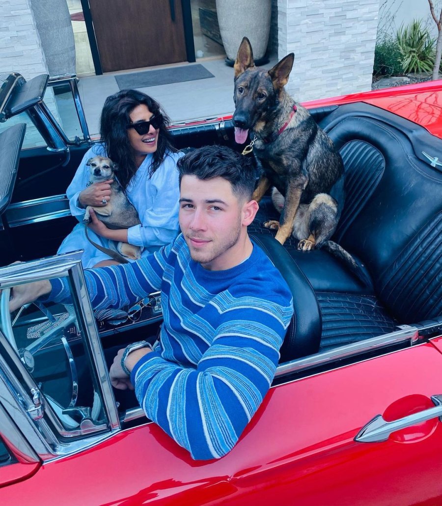 nick-jonas-and-priyanka-chopra-a-timeline-of-their-relationship car with dogs