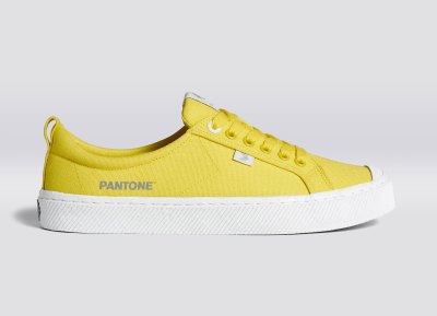 Cariuma Just Released Their 2021 Pantone Color Sneaker Collab
