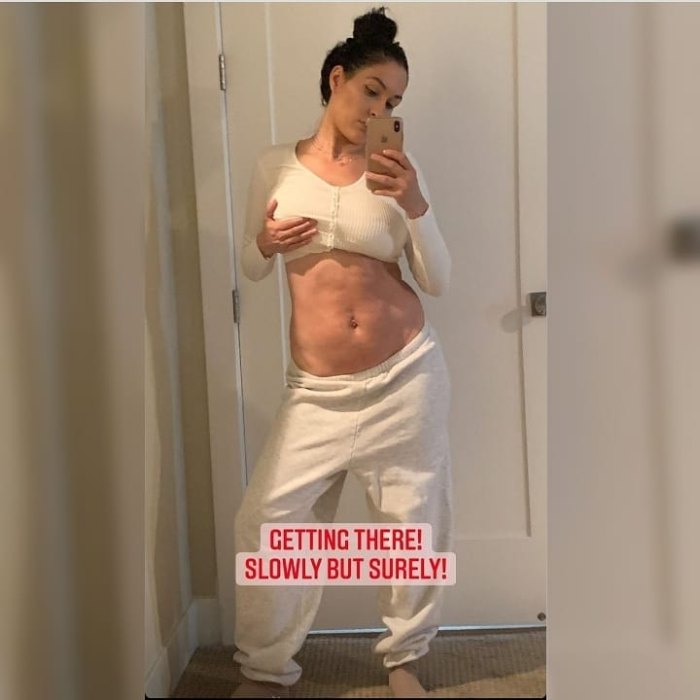 Brie Bella Nude Porn - Nikki Bella Reveals Her Post-Baby Body 5 Months After Giving Birth