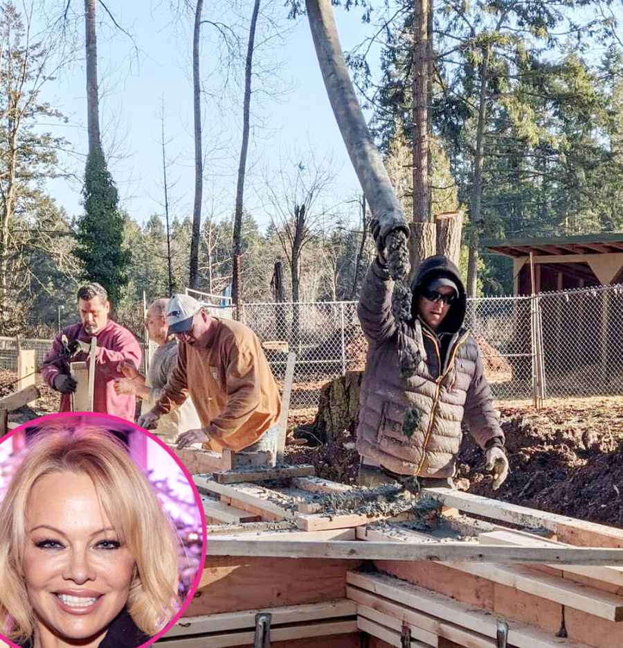 5 Things Know About Pamela Anderson Husband Dan Hayhurst
