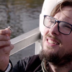 Colt Proposing 90 Day Single Life Trailer