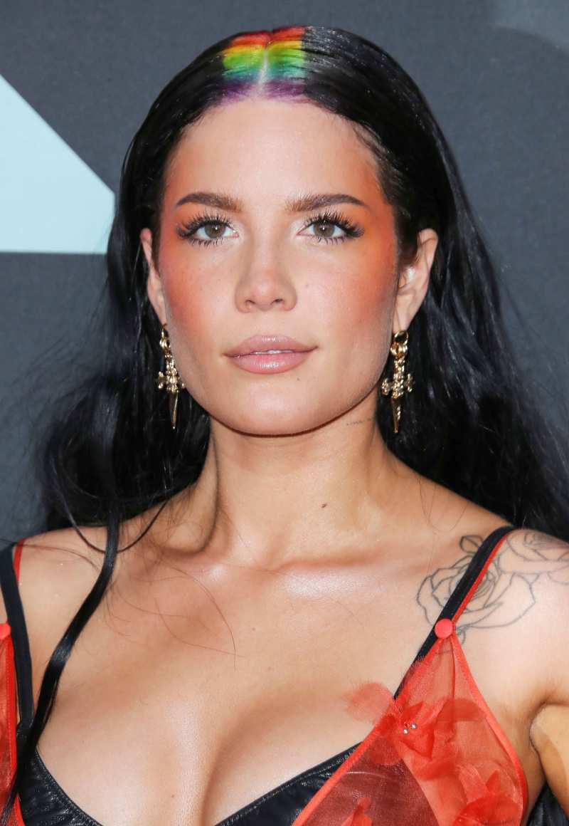 July 2018 Everything Pregnant Halsey Has Said About Having Kids Over Years