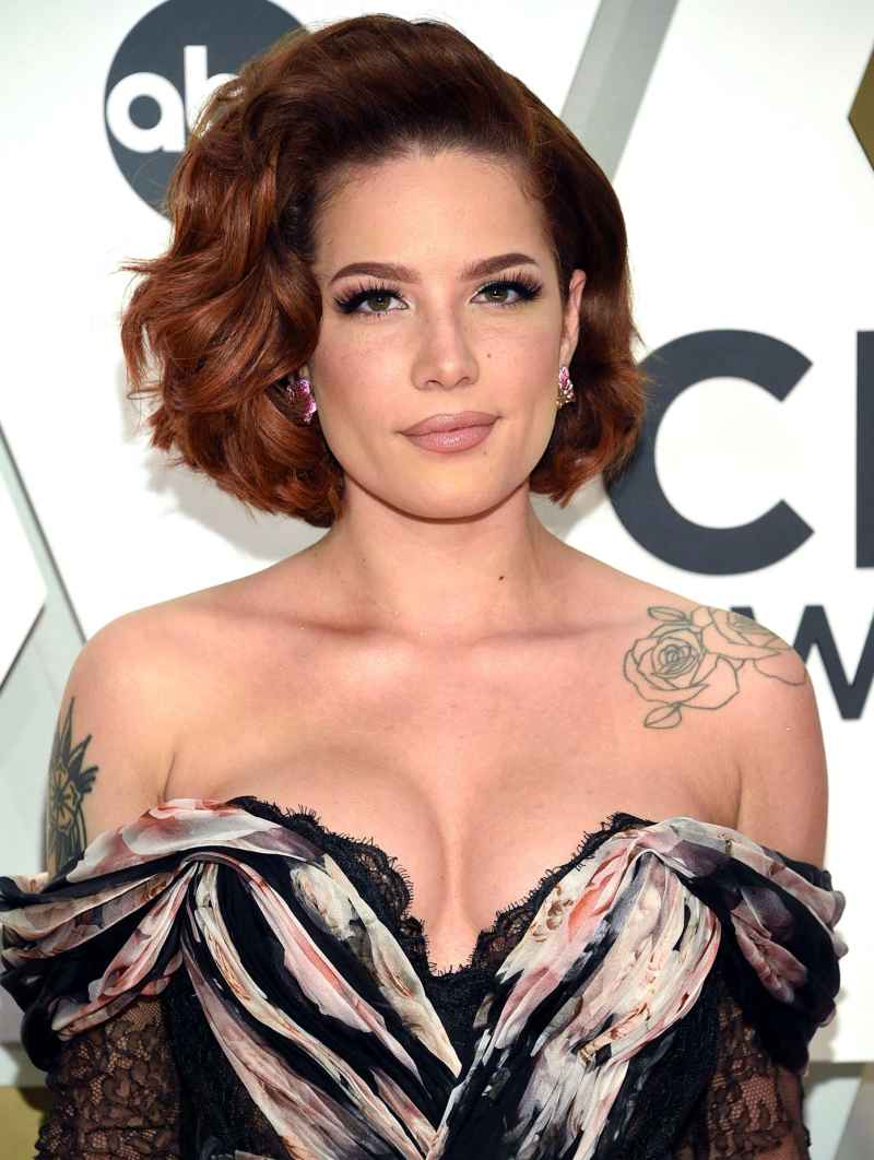 April 2018 Everything Pregnant Halsey Has Said About Having Kids Over Years