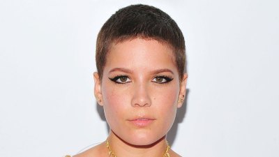 July 2016 Everything Pregnant Halsey Has Said About Having Kids Over Years