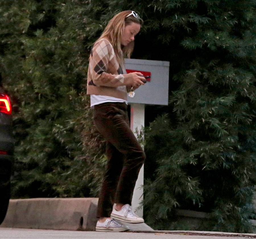 Harry Styles and Olivia Wilde Spotted Together at His L.A. Home Amid Relationship Rumors