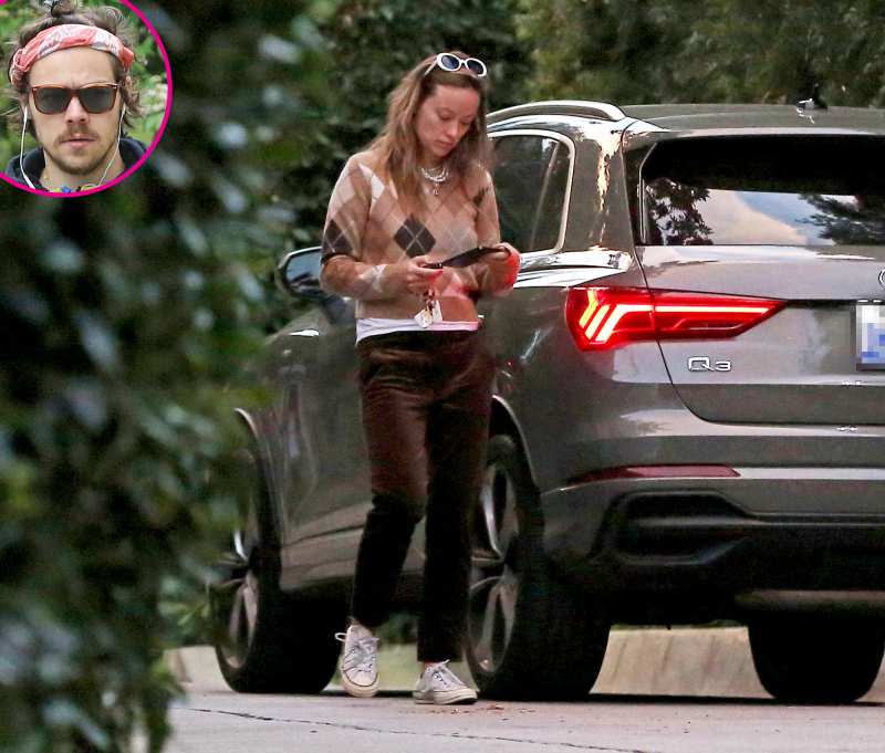 Harry Styles and Olivia Wilde Spotted Together at His L.A. Home Amid Relationship Rumors
