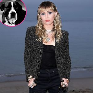 Miley Cyrus Mourns Death Angel Dog Mary Jane