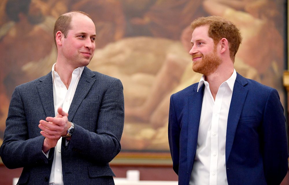 Prince William and Prince Harry Reconnected Via ‘Video Calls’ Over the Holidays Amid Efforts to Repair Their Relationship