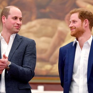 Prince William and Prince Harry Reconnected Via ‘Video Calls’ Over the Holidays Amid Efforts to Repair Their Relationship