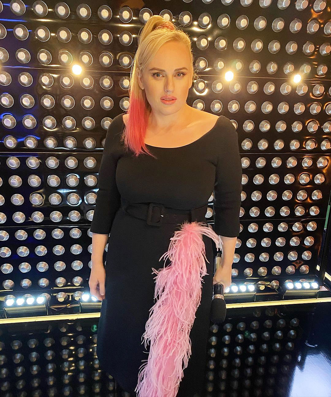 Rebel Wilson Dazzles in a LBD With a Hot Pink Ponytail