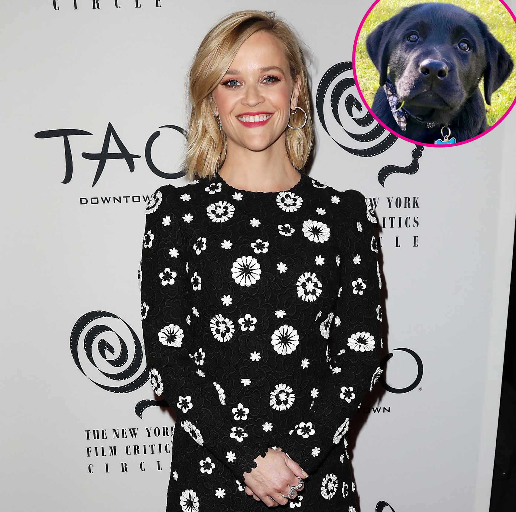 Reese Witherspoon Welcomes New Labrador Puppy to Her Family p