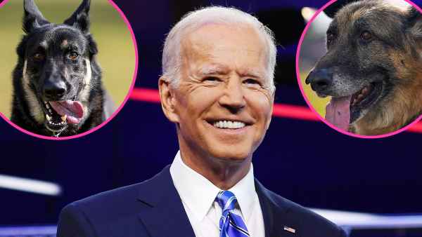 Their New Home President Joe Biden Dogs Major Champ Arrive White House