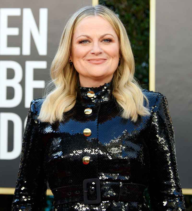 Amy Poehler Best Beauty at Golden Globes 2021