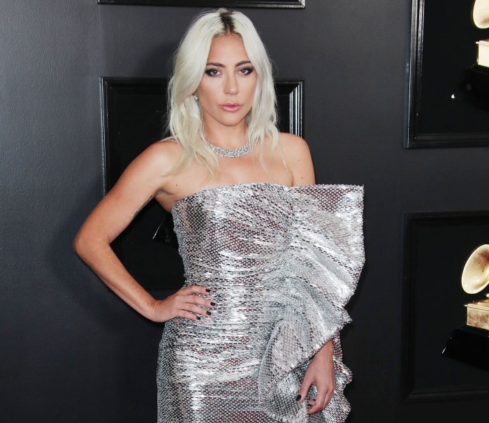 Lady Gaga Speaks Out After Dog Walker Shooting