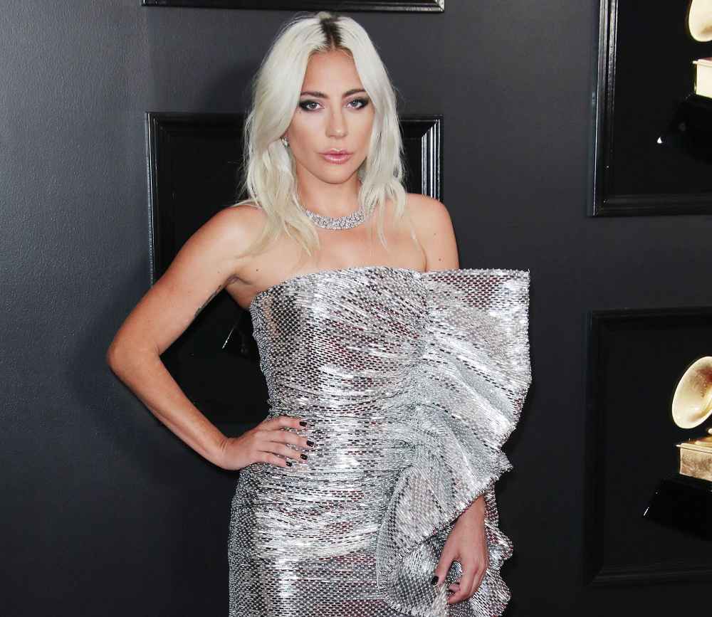 Lady Gaga at Grammys 2019 Lady Gaga Breaks Her Silence After Dog Walker Shooting and Dognapping Incident