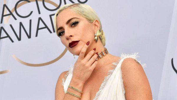 Lady Gaga Dognapper Eyewitness Believes Incident Was ‘Planned Out’