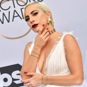 Lady Gaga Dognapper Eyewitness Believes Incident Was ‘Planned Out’