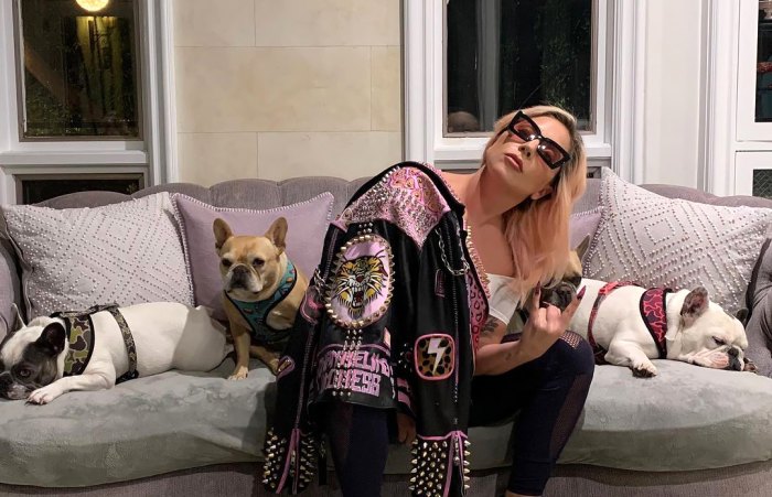 FALSE Moon anger Lady Gaga's Dogs Found Safe After Dog Walker Shooting, Dognapping