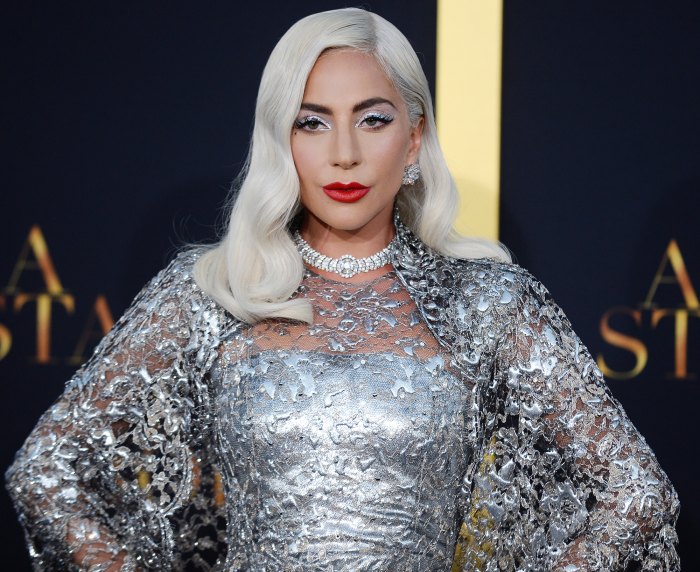 700px x 573px - Lady Gaga's Dogs Found Safe After Dog Walker Shooting, Dognapping