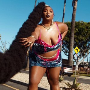 Lizzo’s Rapunzel Ponytail Is Made of 40 Extensions Instagram